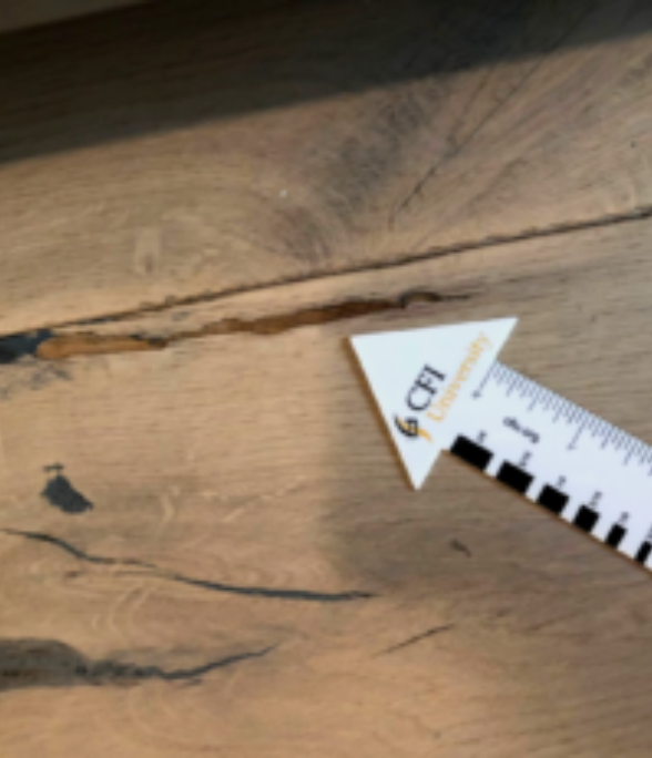 Engineered wood floors3