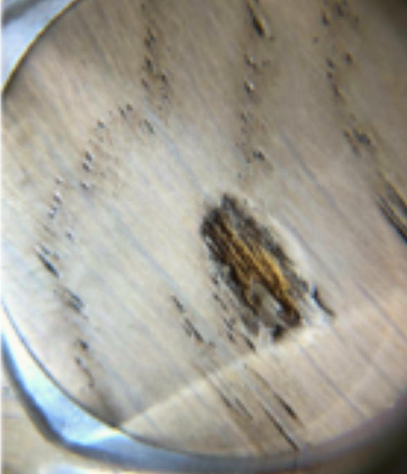 Engineered wood floors4