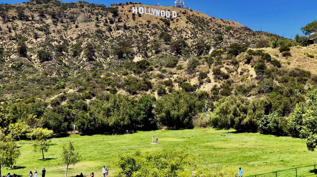 Hollywood Hills, Los Angeles
